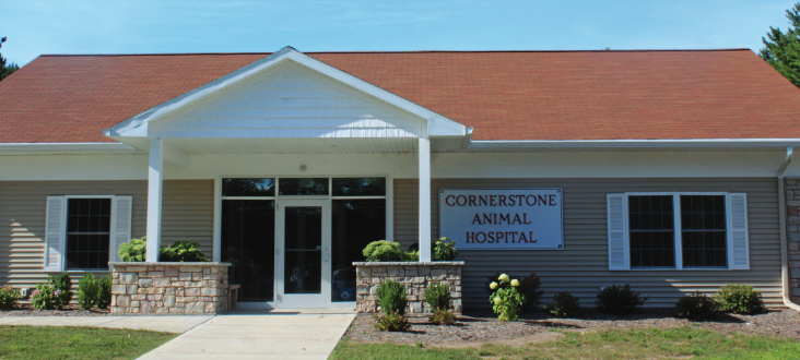 Cornerstone Animal Hospital