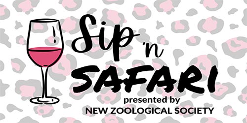 Sip N Safari Logo