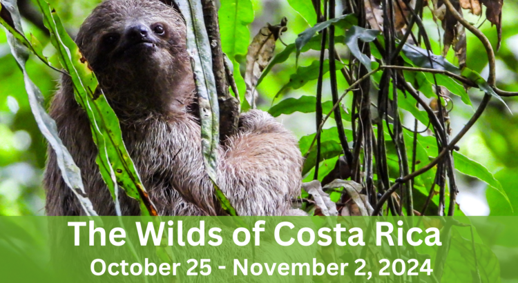 The Wilds Of Cost Rica October 28 - November 2, 2024